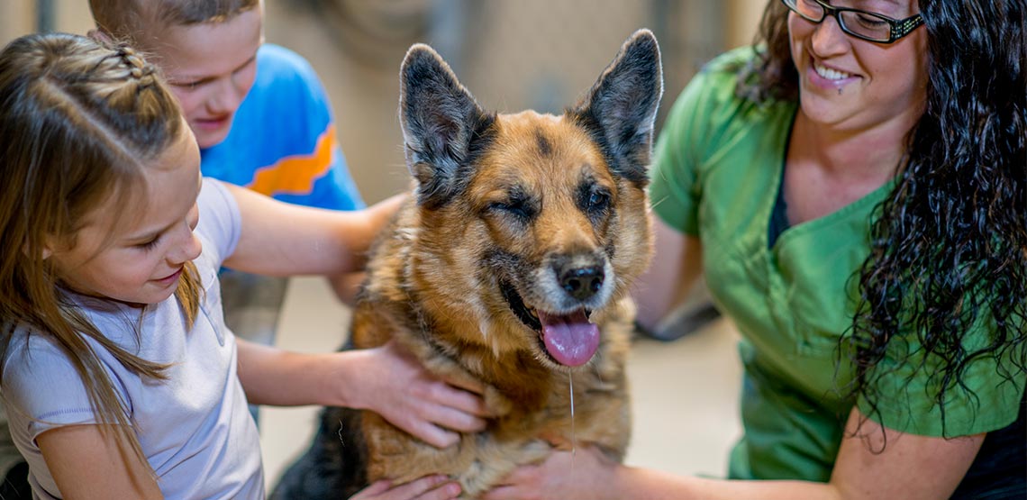 Two kids and worker petting a dog at a shelter