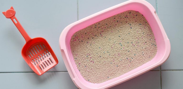 Litter box with litter in it and scoop