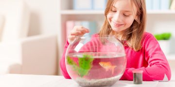 Little girl feeding goldfish in fish bowl