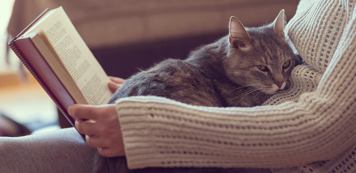 Cat sitting on lap of human who is reading a book