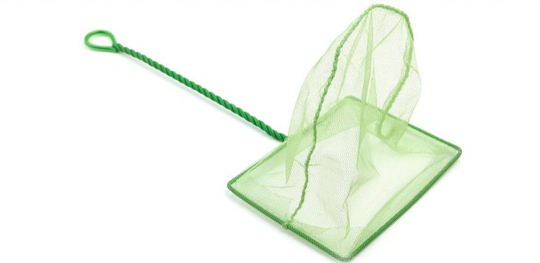 Small green fish net
