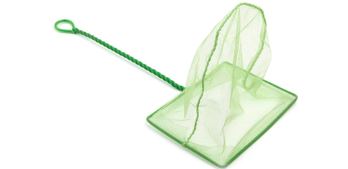 Small green fish net