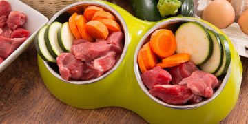 Two bowls full of cut up zucchini, carrots and raw meat
