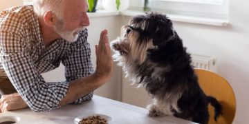 A man gives his dog a high five for proper eating